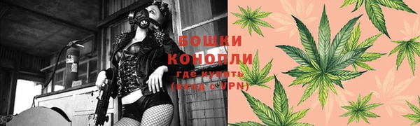 PSILOCYBIN Зеленодольск