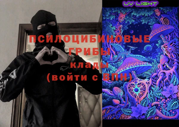 бошки Инсар