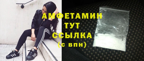 PSILOCYBIN Зеленодольск