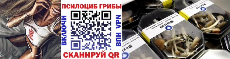 Галлюциногенные грибы GOLDEN TEACHER  Купить  Бологое 