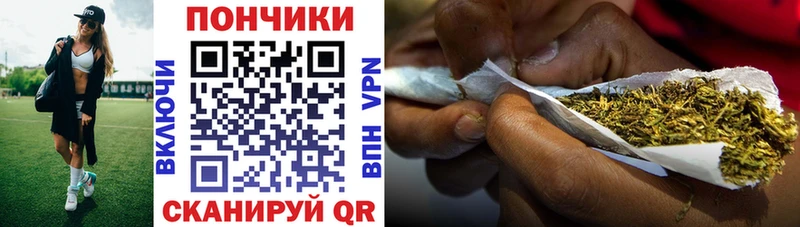 Купить  Бологое  Канабис VHQ 